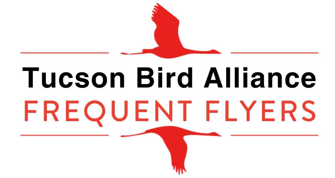 Frequent%20Flyers.jpg