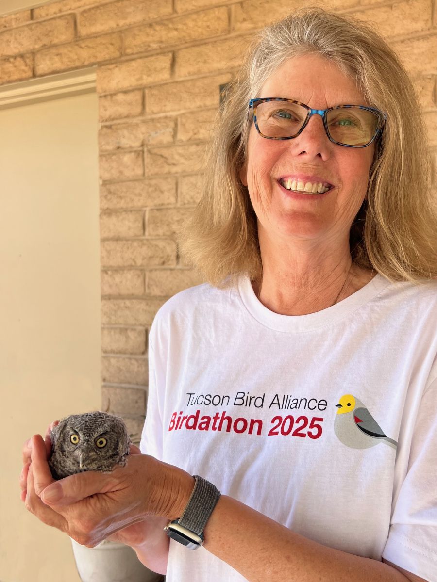 Steffens holding Western Screech Owl