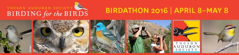 Fundraising Header image