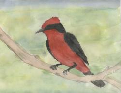 Fundraising Page Image