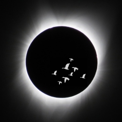 Fundraising Page Image