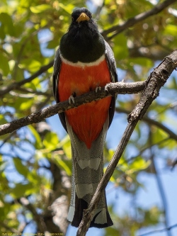 Fundraising Page Image