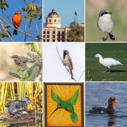 Fundraising Page Image