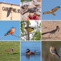 Fundraising Page Image