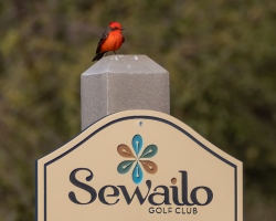 Fundraising Page Image