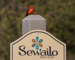 Fundraising Page Image