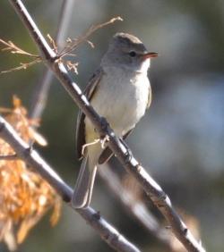 Fundraising Page Image