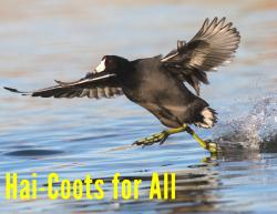 Fundraising Page Image