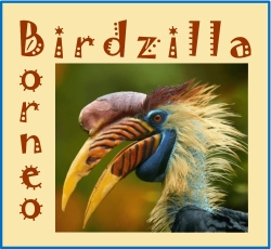 Fundraising Page Image