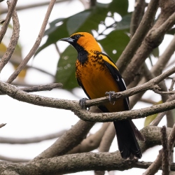 Fundraising Page Image