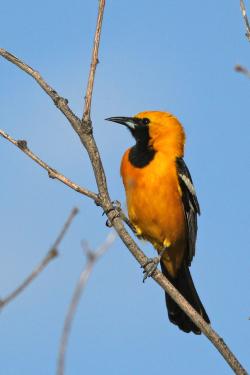 Fundraising Page Image