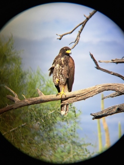 Fundraising Page Image