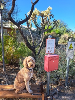 Fundraising Page Image