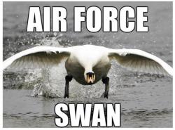 Fundraising Page Image