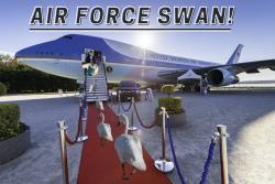 Fundraising Page Image