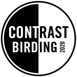 Fundraising Page Image