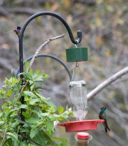 Fundraising Page Image