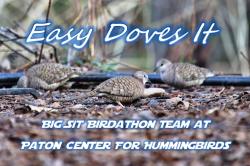 Fundraising Page Image