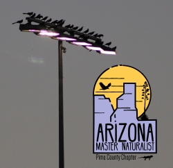 Fundraising Page Image