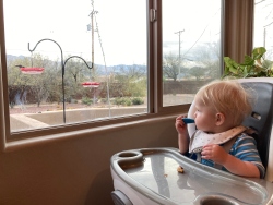 Fundraising Page Image