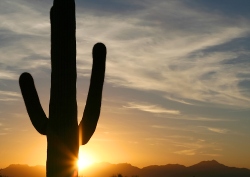 Fundraising Page Image