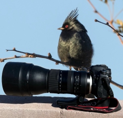 Fundraising Page Image