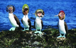 Fundraising Page Image