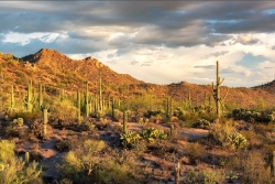 Fundraising Page Image