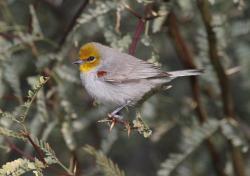 Fundraising Page Image