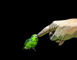 Fundraising Page Image