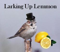 Fundraising Page Image